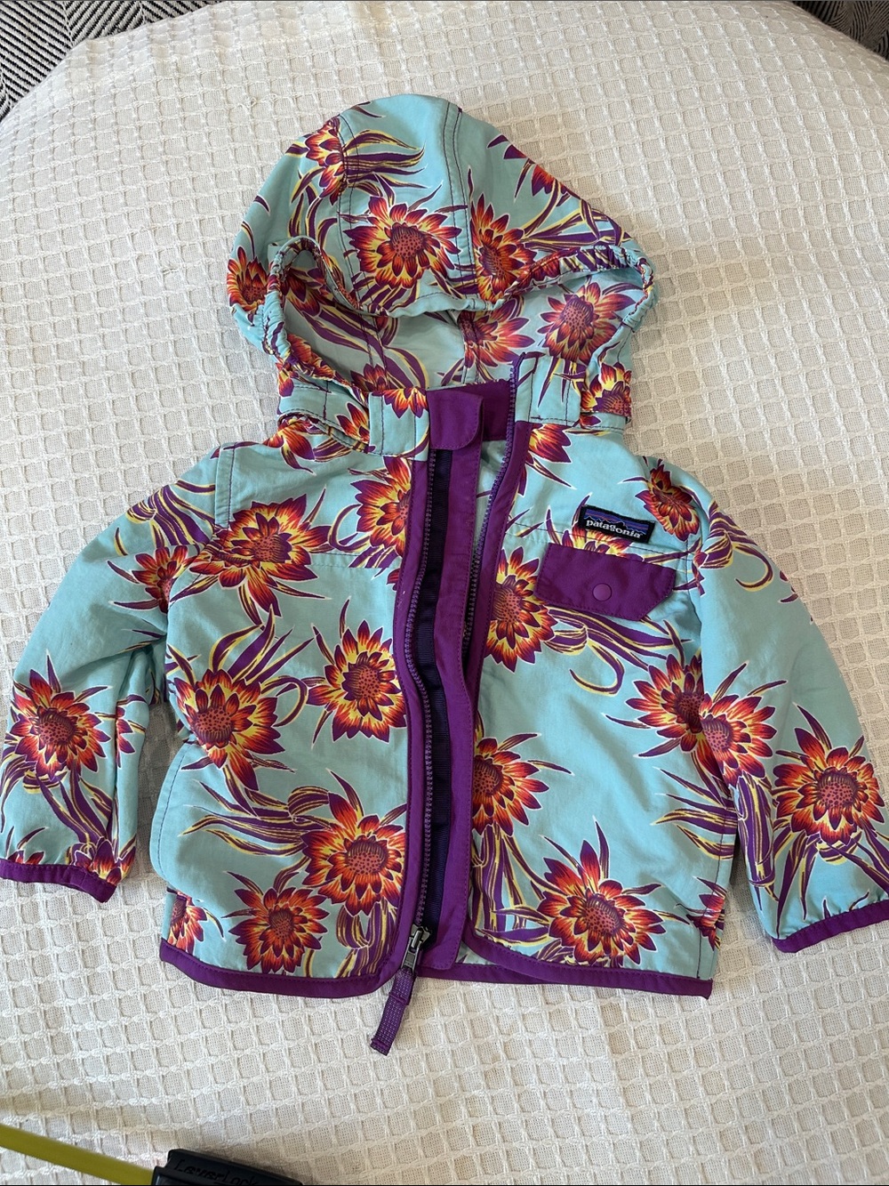 Patagonia baggies jacket